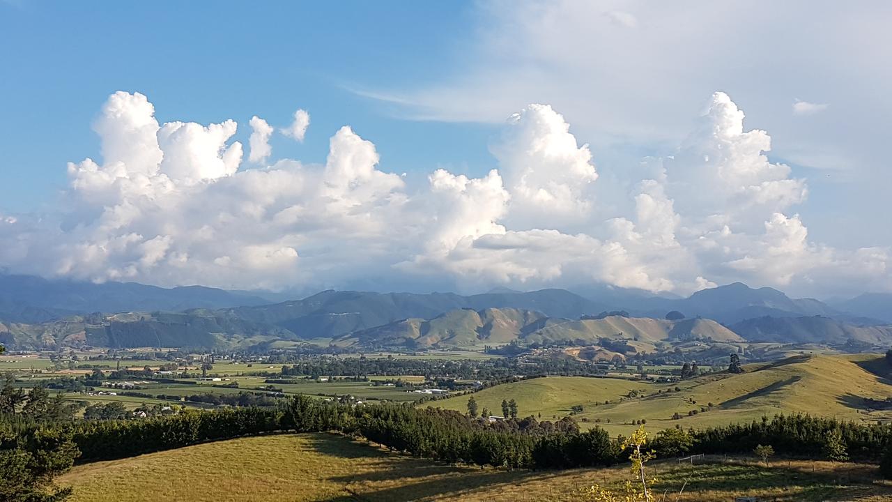 Golden Hills Farm Cottage Nelson Ngoại thất bức ảnh